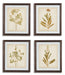 Dyani Wall Art (Set of 4) image